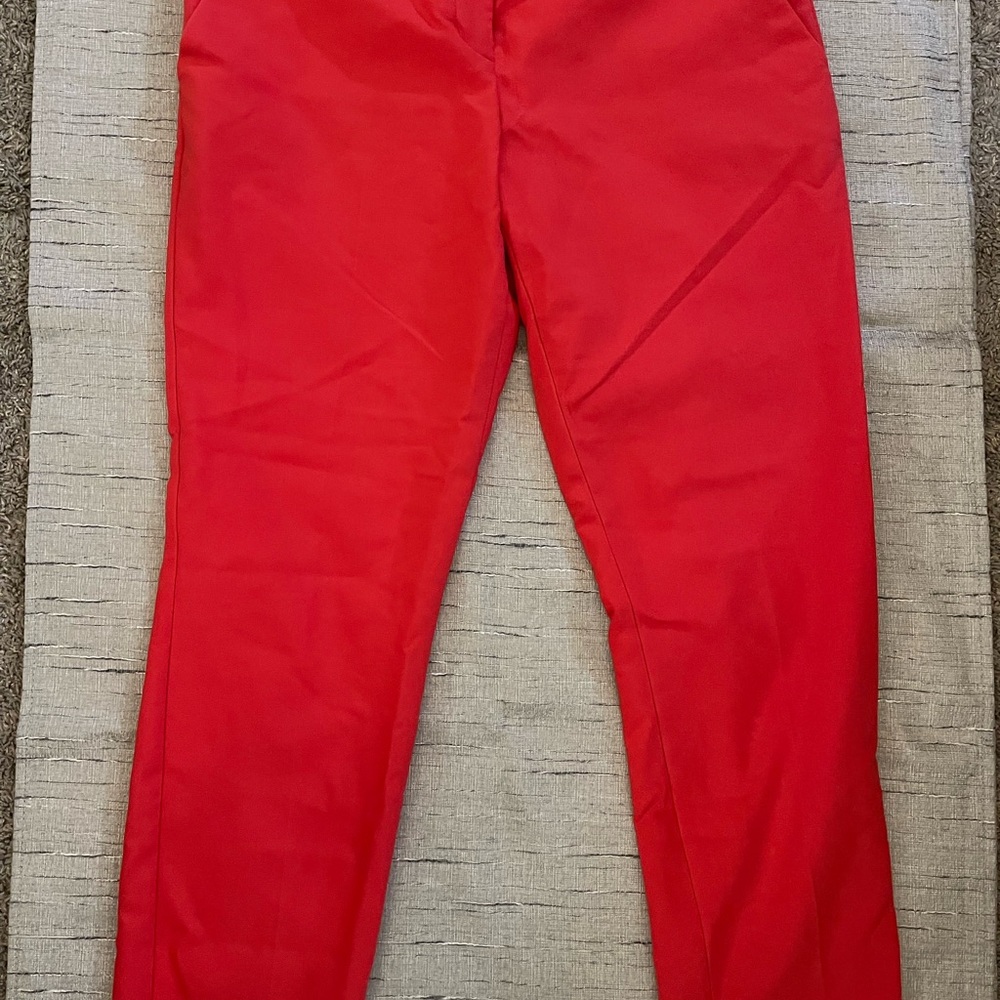 Express Red Tailored Pants
